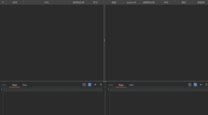 burp插件瞎注二开版-鹏组安全社区
